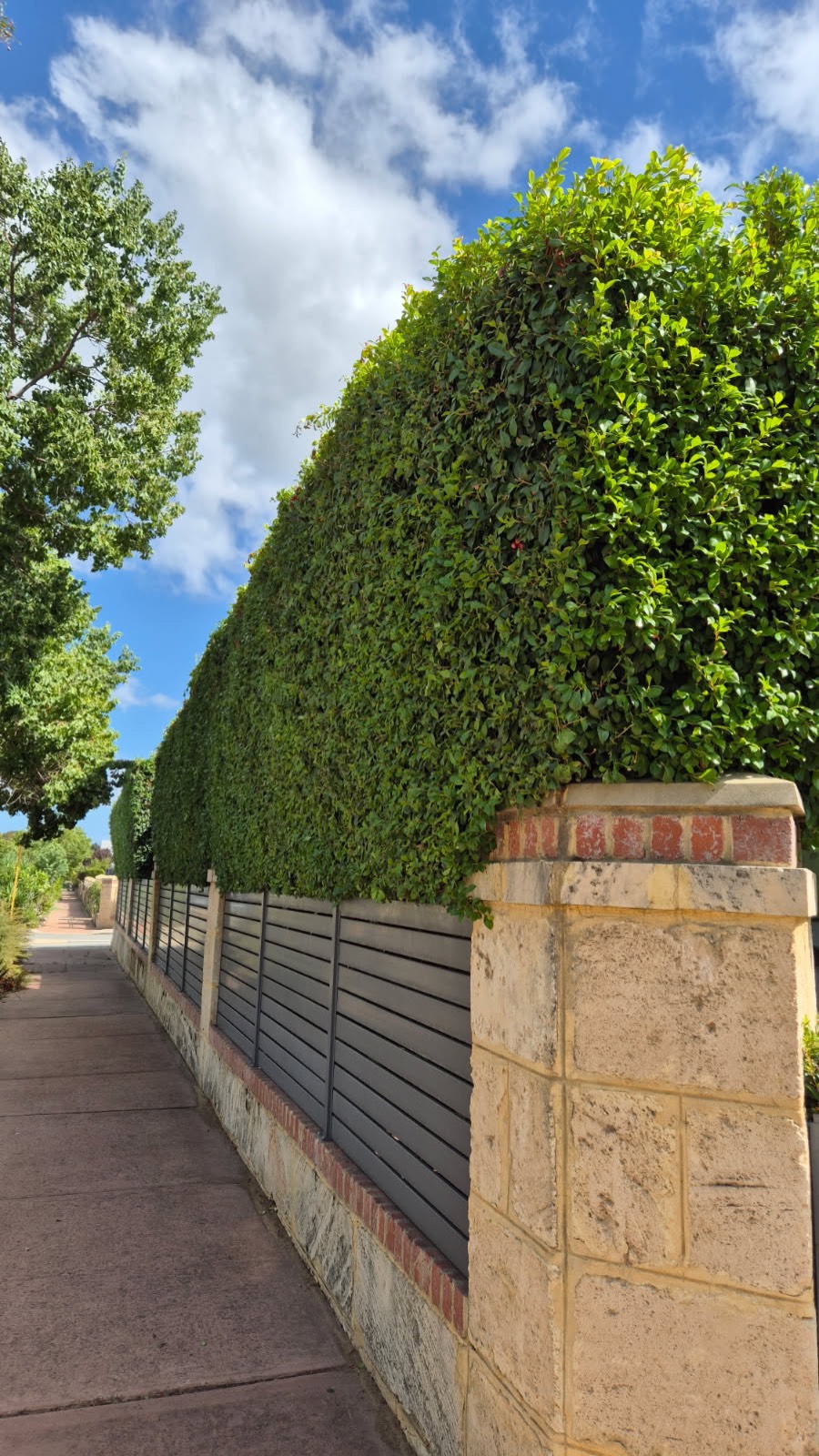 A long, neatly trimmed hedge running along a stone-and-brick garden wall